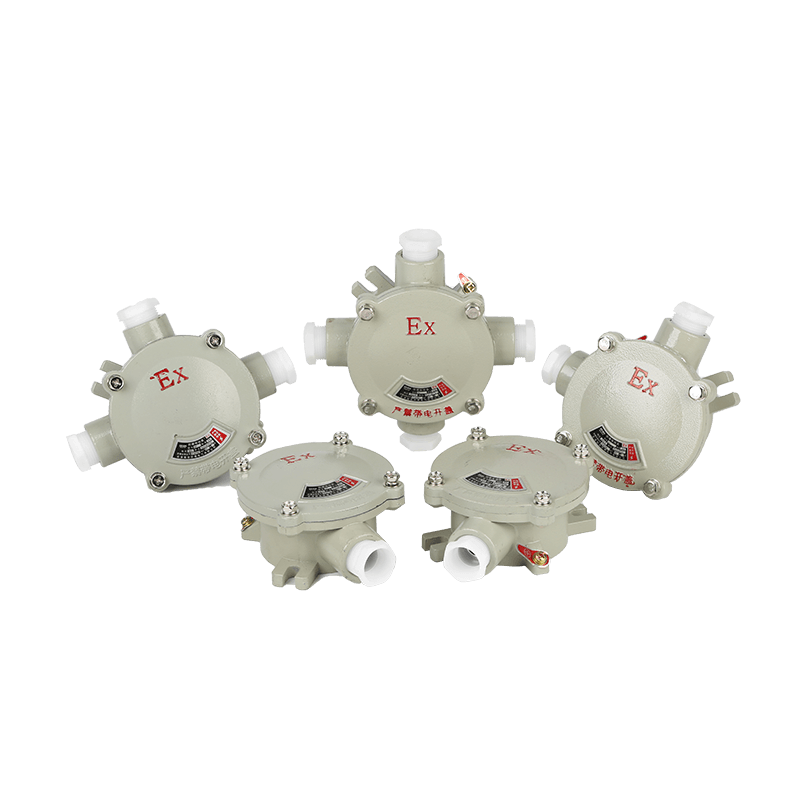 AH防爆接線盒 平蓋