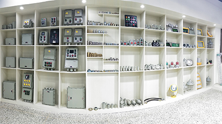 歡迎市場監(jiān)管局領(lǐng)導(dǎo)蒞臨我司視察指導(dǎo)工作